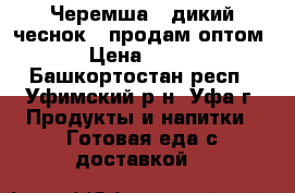 Черемша ( дикий чеснок ) продам оптом › Цена ­ 300 - Башкортостан респ., Уфимский р-н, Уфа г. Продукты и напитки » Готовая еда с доставкой   